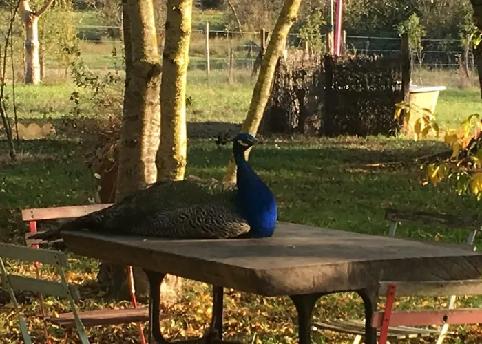 Ben Aise Hammam Massages Alojamento de Acomodação e Pequeno-almoço Maillezais