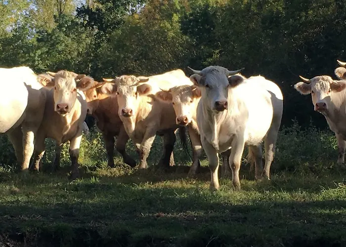 Ben Aise Hammam Massages 3*